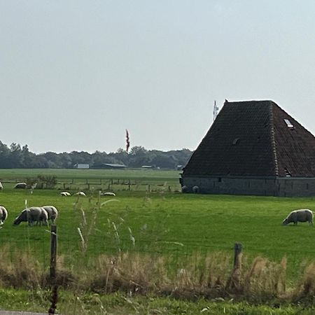 Gastsuite Het Duinroosje Met Hottub Op Het Prive Terras! Den Burg Exterior photo